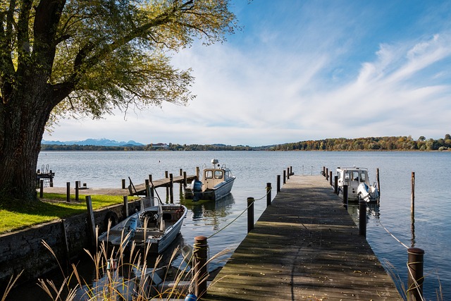 重要因素 重要因素