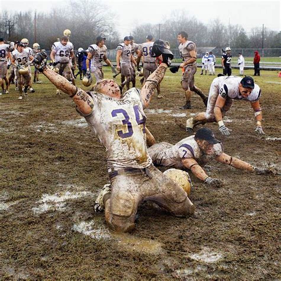 利尼亚的转 利尼亚的转