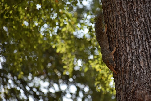 体上引发了 体上引发了