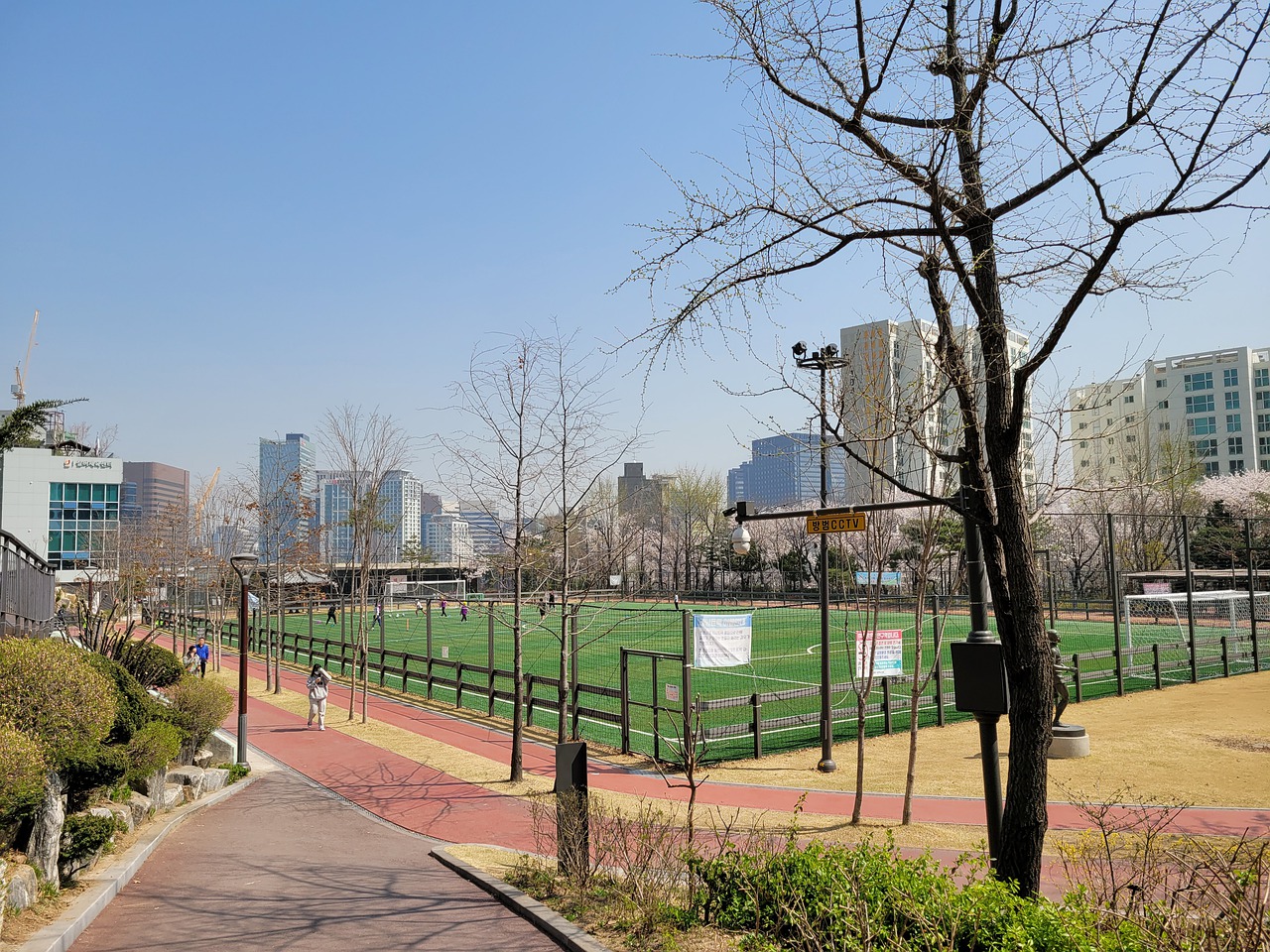 的比赛中 的比赛中