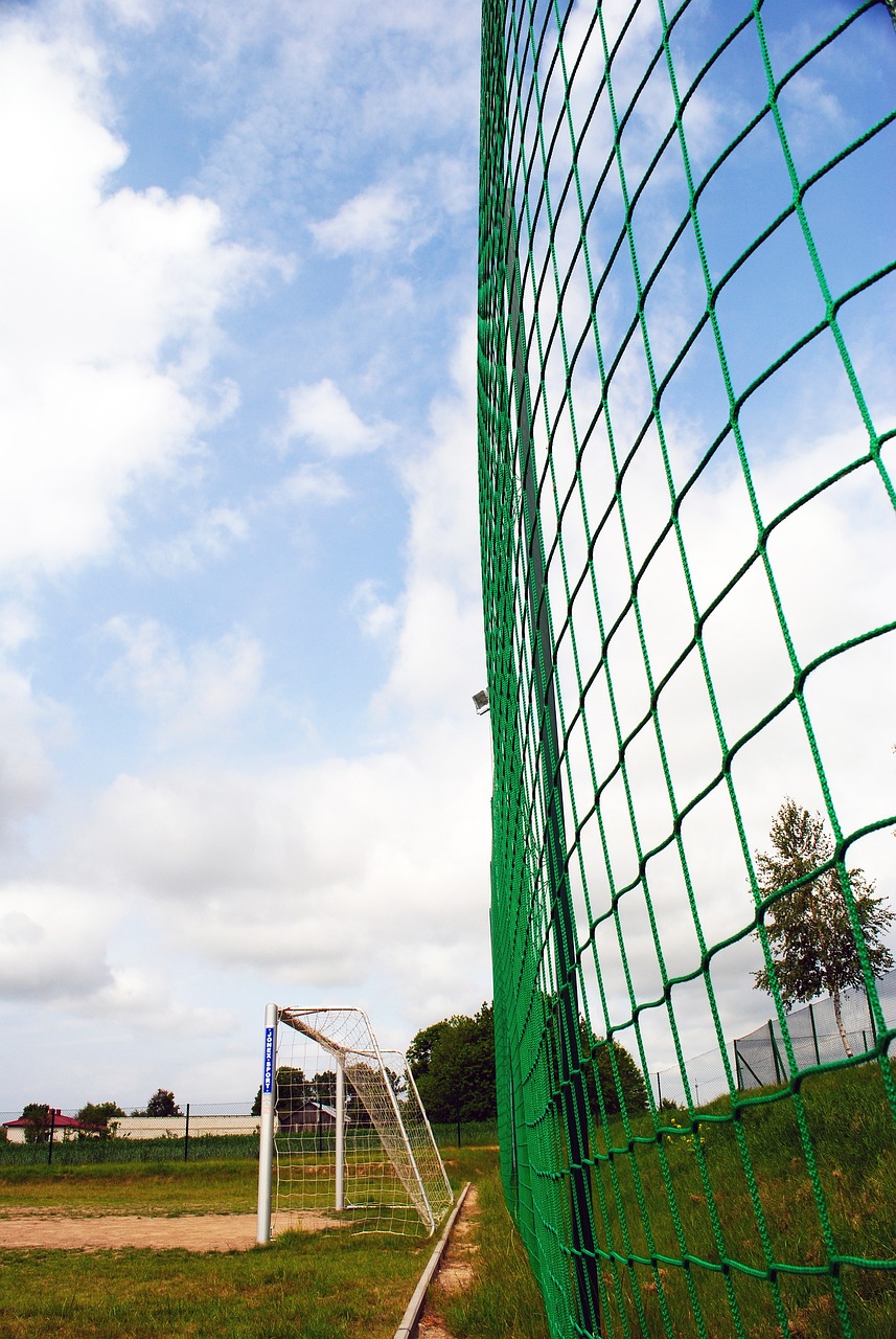 多庫年僅2 多庫年僅2