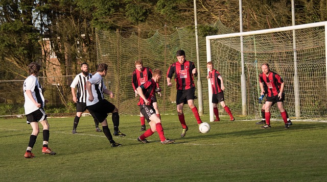 青年才俊的 青年才俊的